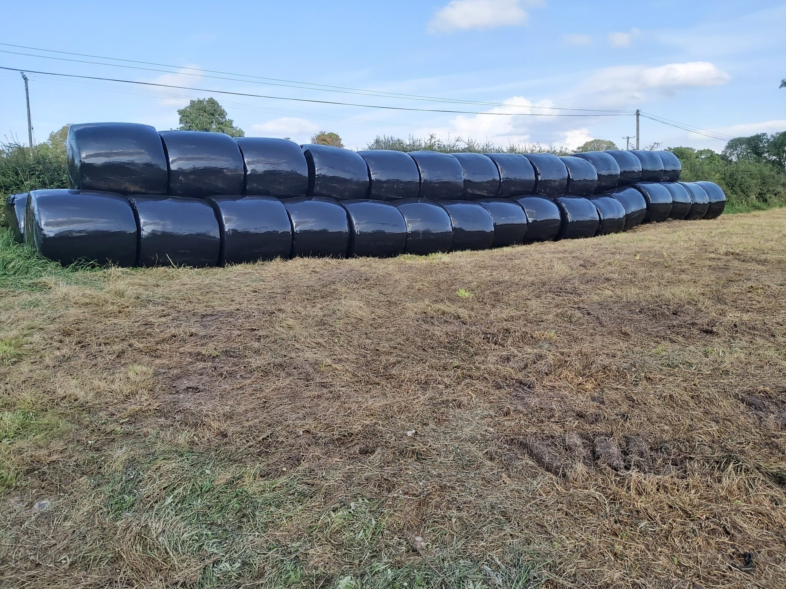 Round Bales of Silage