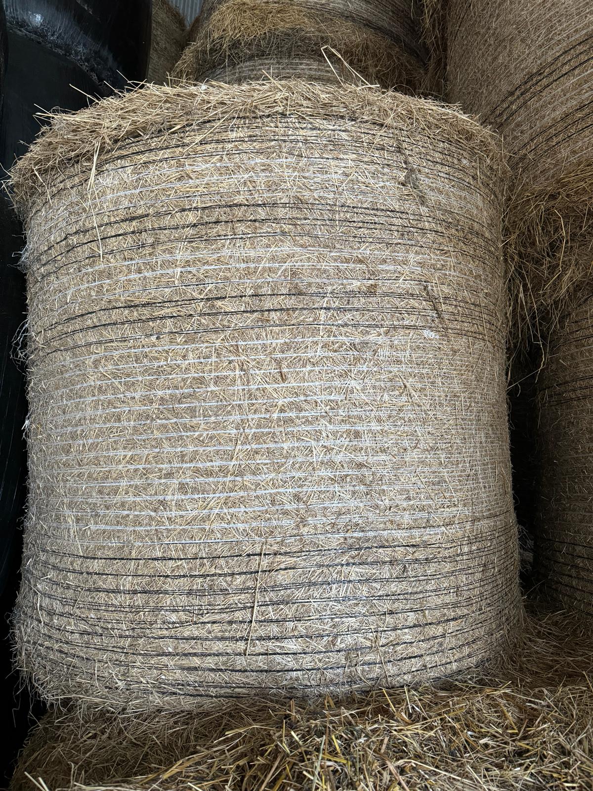 Certified Organic Hay made in 2023
