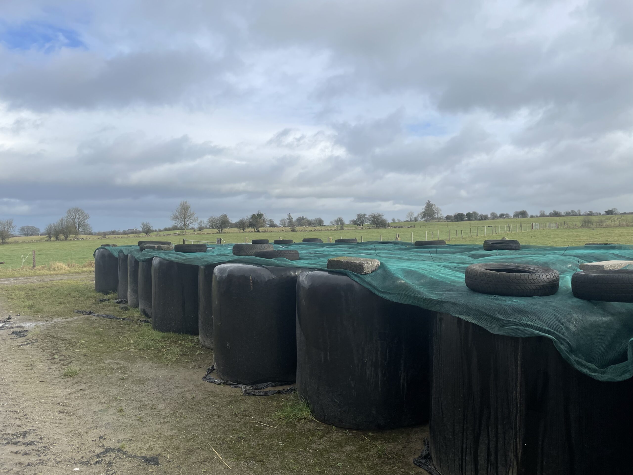 Silage & Arable Bales